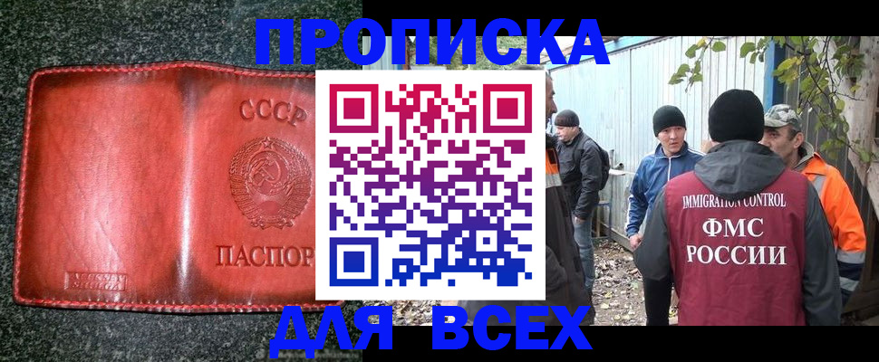 временная регистрация поиск в Тайге